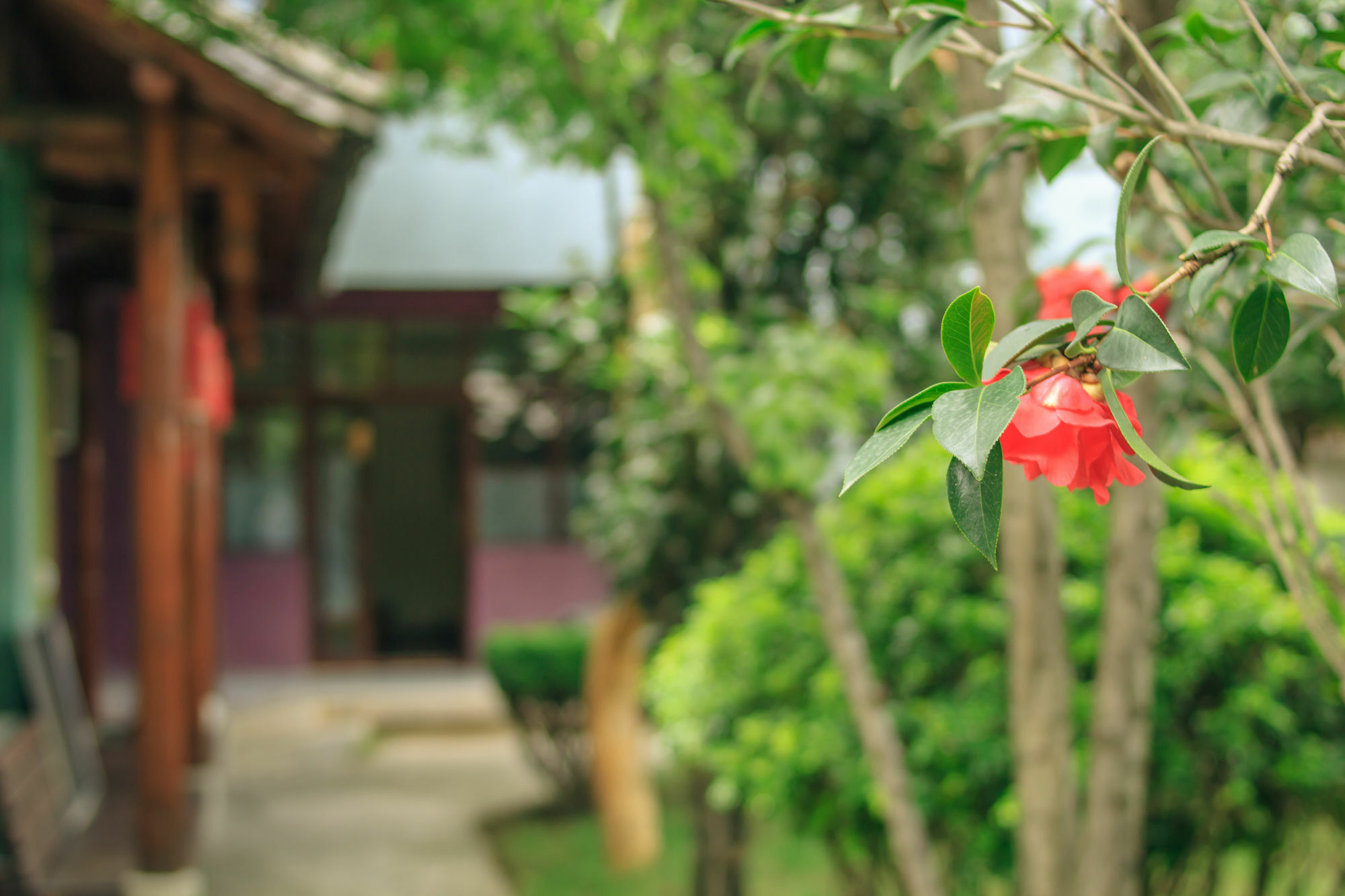 Ooh Countryard Inn دالي المظهر الخارجي الصورة